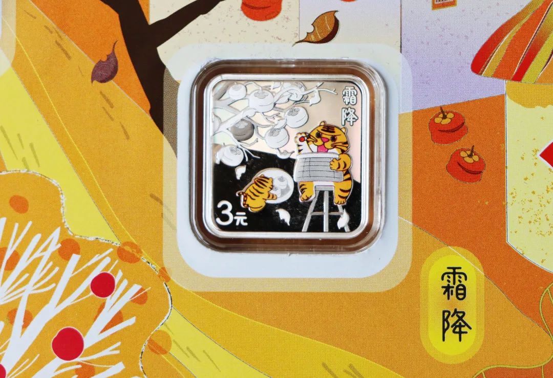 一起摘柿子,霜降人摘柿子的图片