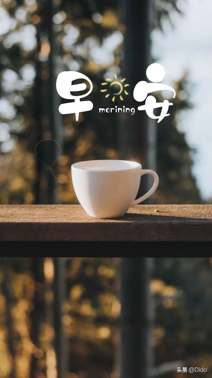 早安不乱于心不困于情不畏将来,早安不念过往不畏将来图片