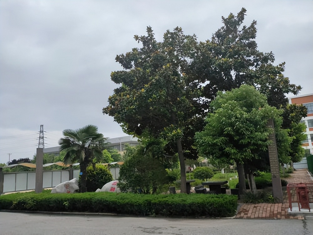 临沂实验学校都有哪些,临沂益民实验中学