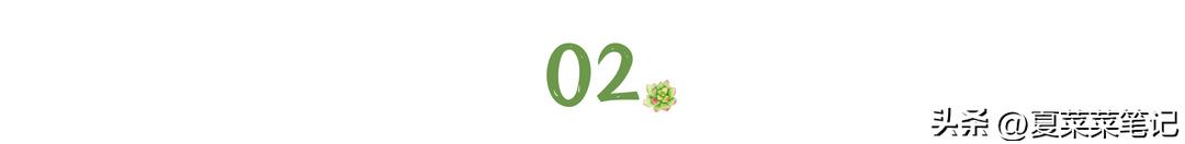 自媒体怎么一个月赚1000,自媒体怎么做到一月挣一万