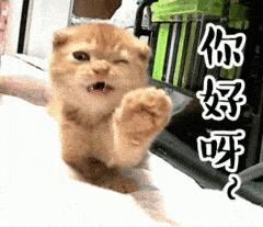 香港这些破纪录的“极端”给我整破防了...