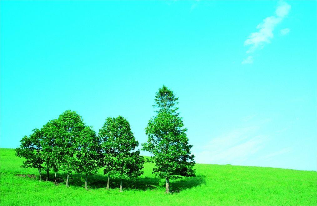 丈夫难以忍受妻子脏乱差,妻子觉得丈夫太窝囊不帮她出头