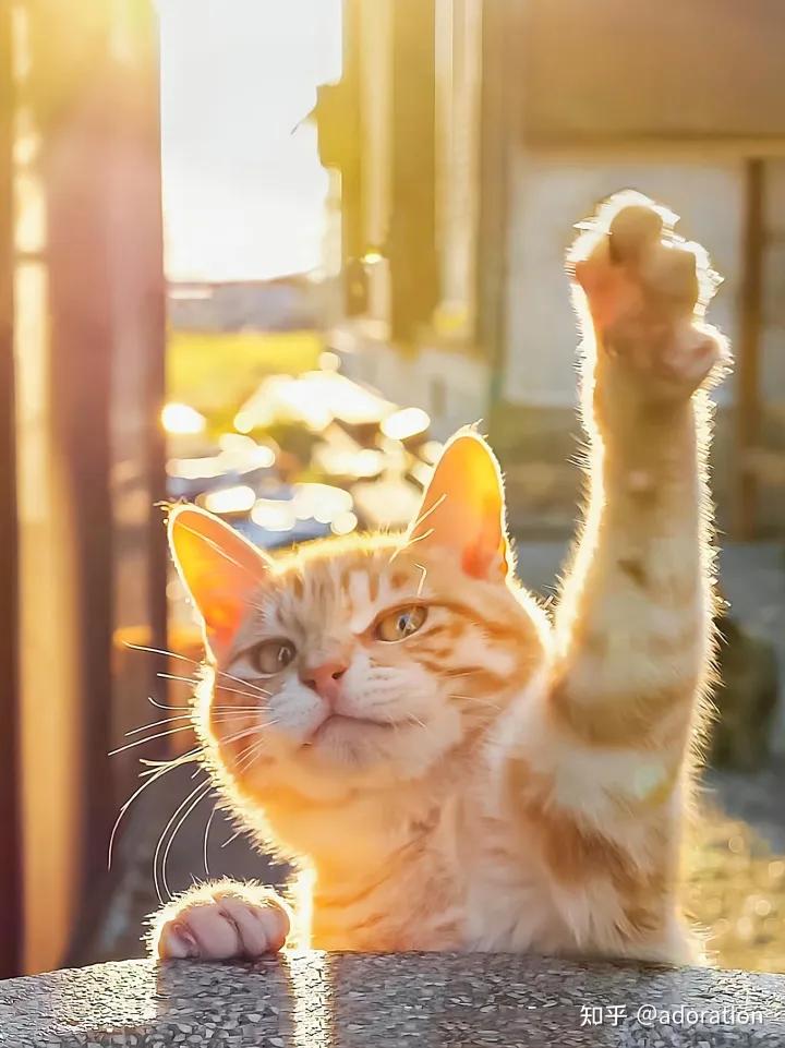 毕业论文应该怎么写有什么步骤吗,毕业论文层次怎么写