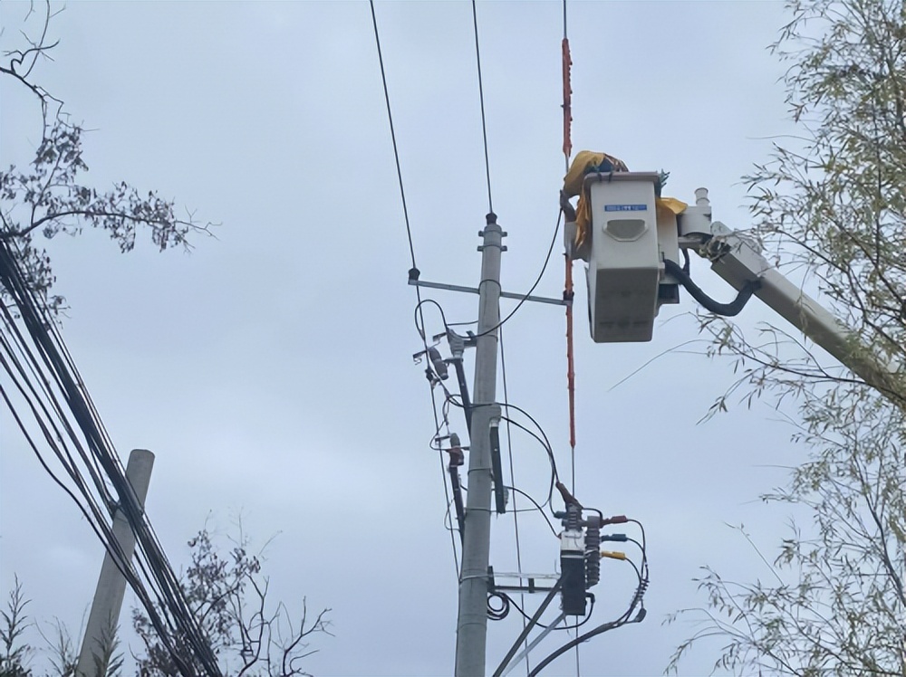 国网凤县供电公司：麝过青山草木香——国网凤县公司驻留凤关镇沙江寺村工作队乡村振兴工作手记