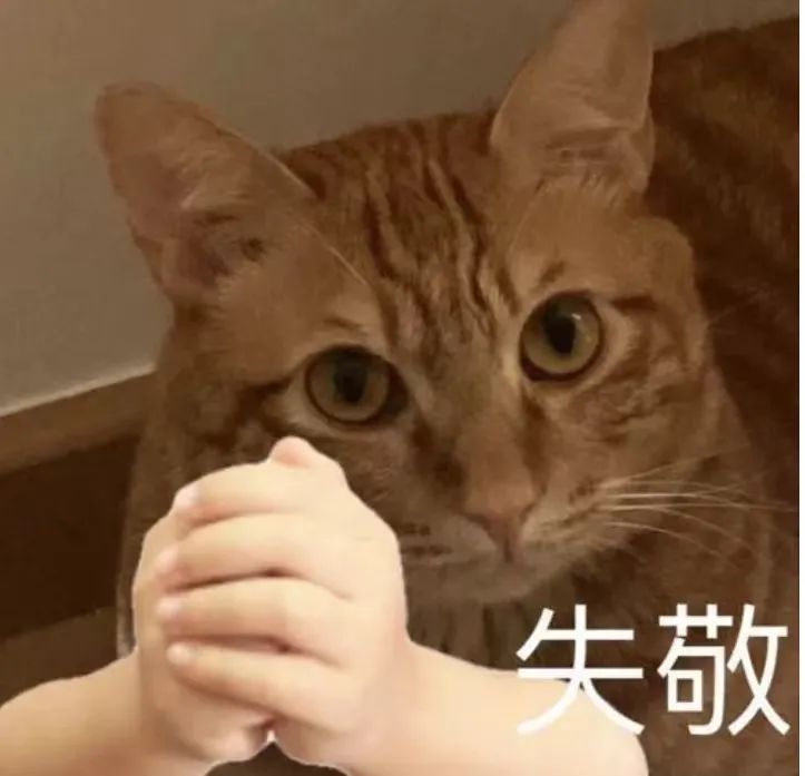 百度贴吧最火时候,百度贴吧已下线