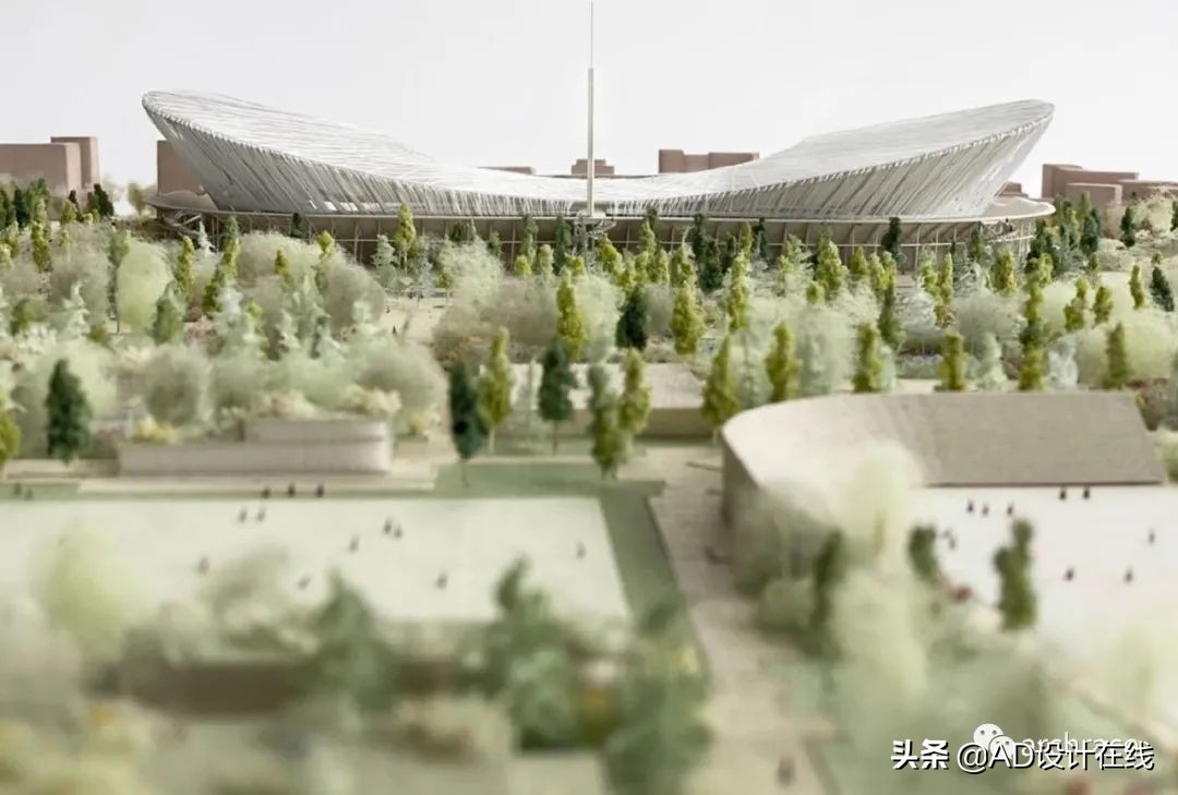 弗兰基球场改建,佛罗伦萨弗兰基球场