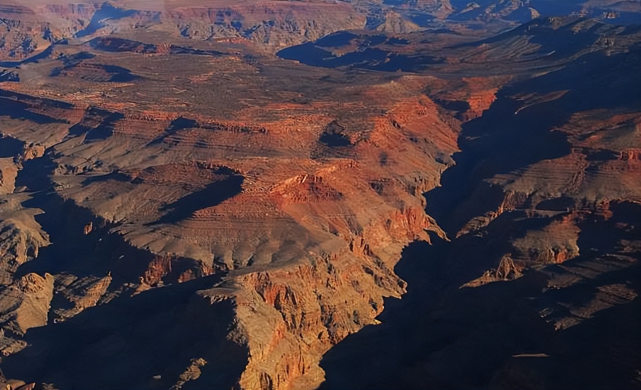 奔跑的国度：牙买加和肯尼亚，为什么是他们？