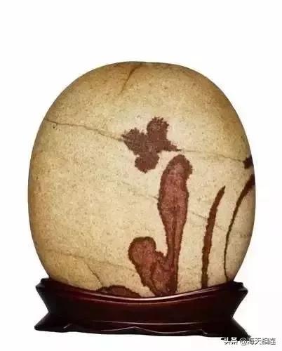 难得一见的仙鹤假奇石,这些难得一见的奇石美醉了