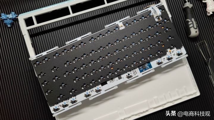 达尔优a81三模全透,达尔优a81单模和三模怎么选