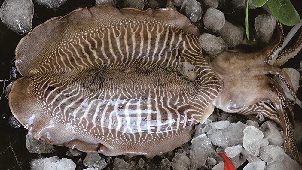 新鲜海鲜店加盟店排行榜,新鲜海鲜加盟连锁店