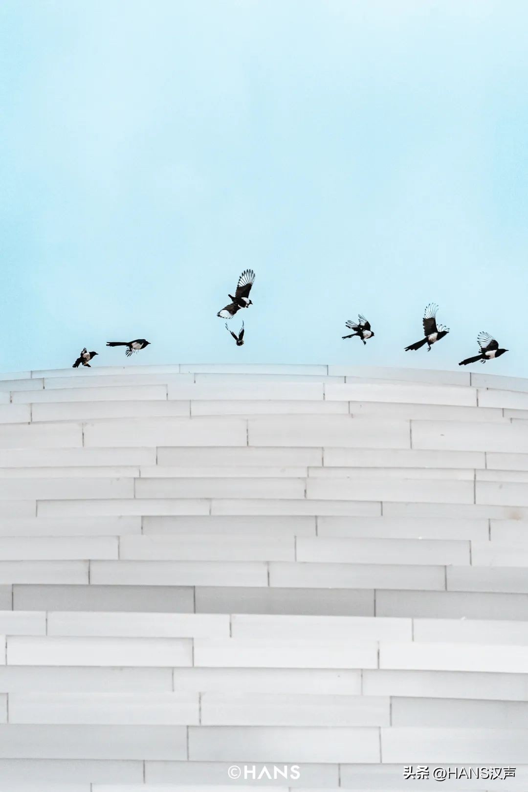 琴台美术馆大概逛多久,琴台美术馆开馆时间