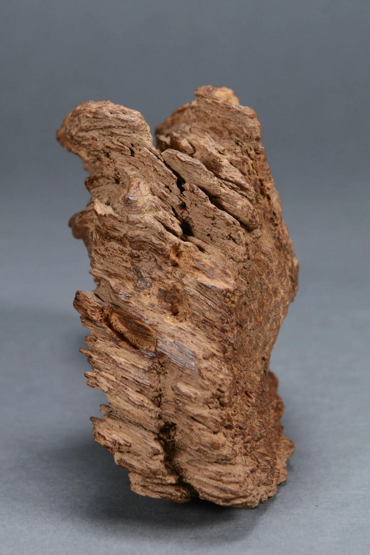 越南大叻沉香价位,越南大叻沉香味道怎么样