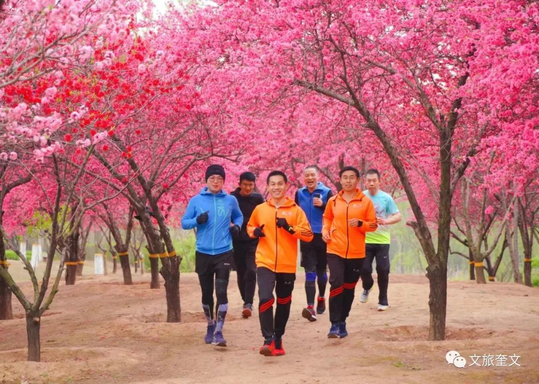 周末徒步免费景点攻略,此生必打卡的山跟徒步路线