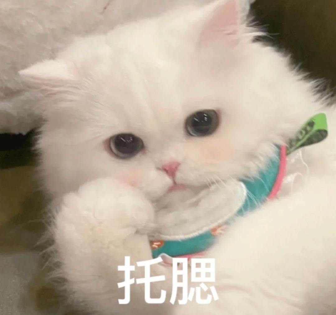 澳洲留学重点专业要求条件,澳洲留学的基础条件是什么