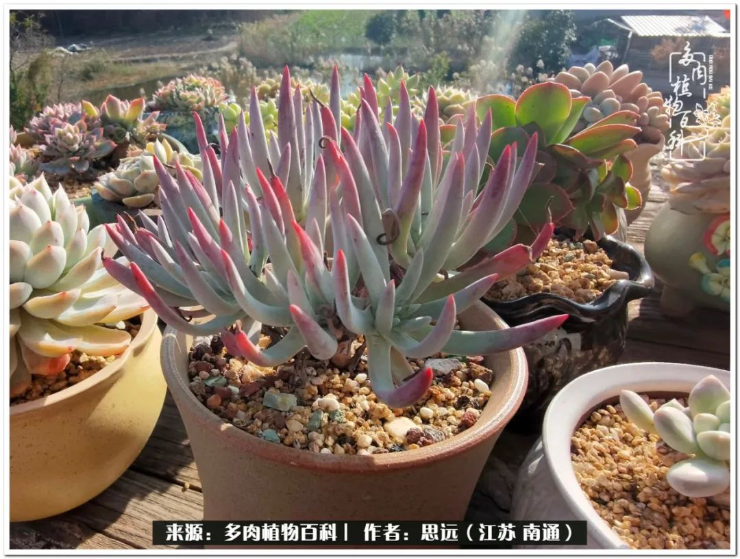 隔着时间的深爱，来自秋天的私语