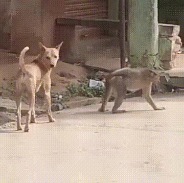 “易孕体质是种什么样的感受？”哇哈哈哈哈太真实了