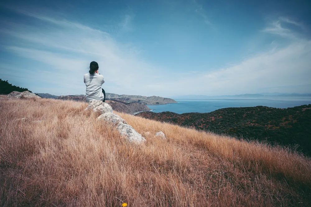 工作的最高境界想干什么就干什么,工作的最高境界就是忘掉