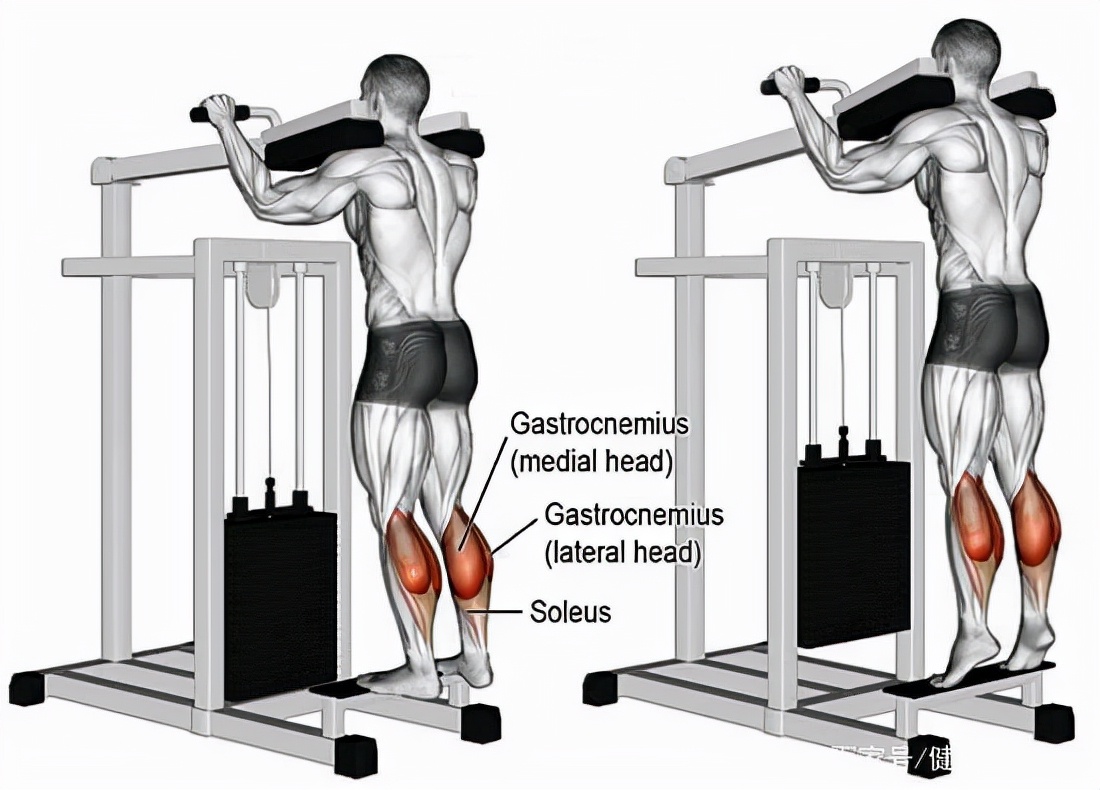 提高弹跳最有效的方法,如何提高弹跳力视频