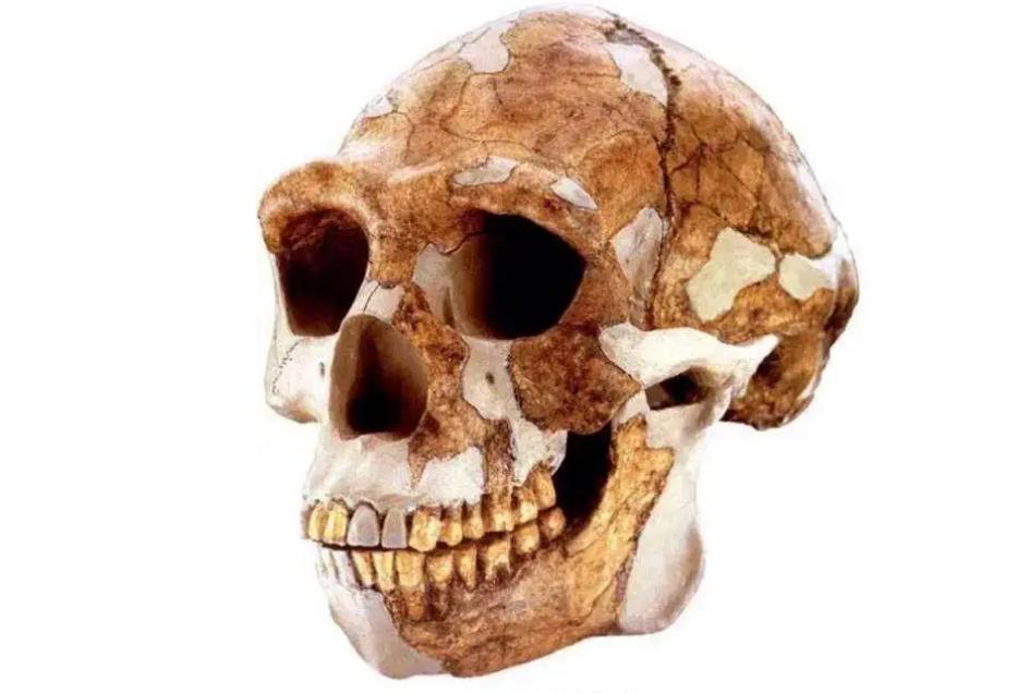 胆小莫入的人有多可怕,胆小勿进眼见不一定为实