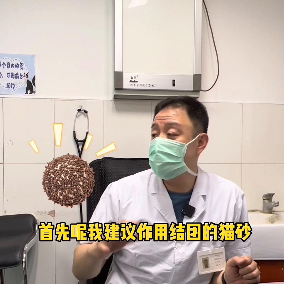 猫尿频和尿闭如何区分,猫尿频和尿闭跟猫粮有关系吗