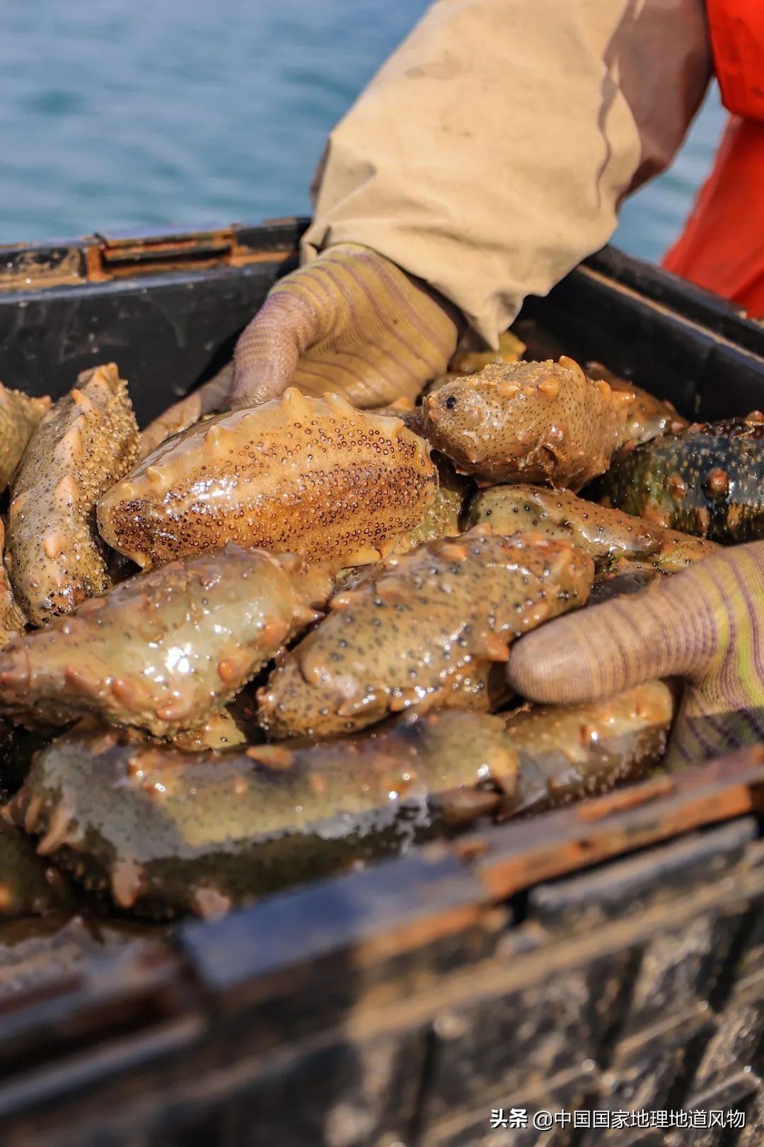 北方最适合旅游的沿海城市,北方的海边最好的地方