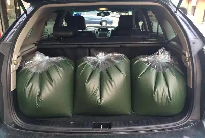 水族爱好者龙鱼,马来买的龙鱼如何带回国内