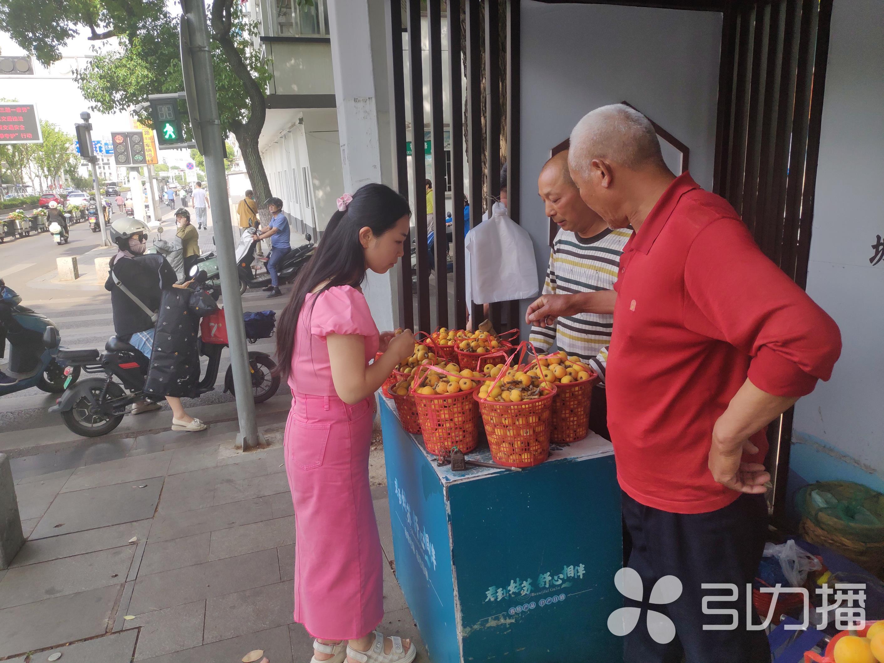 苏州哪里买枇杷,苏州哪里可以买枇杷