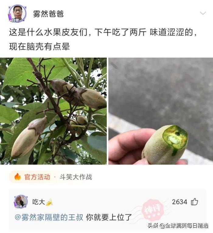 神回复怀孕了,神回复你到底想怎样