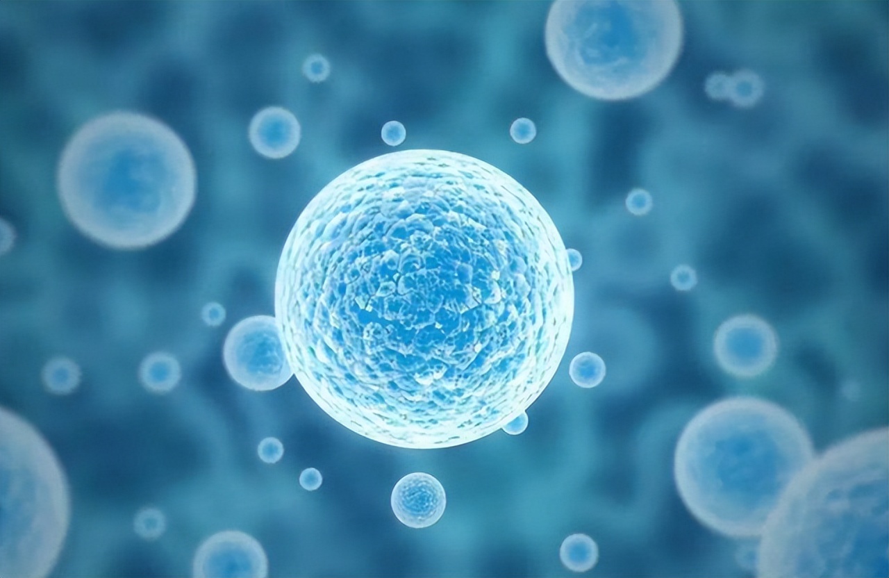 断食三天可重启免疫系统,断食两天便能重启免疫系统