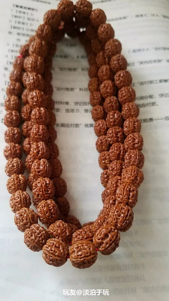 那些树籽手串中的“茅台”,凭什么卖这么贵