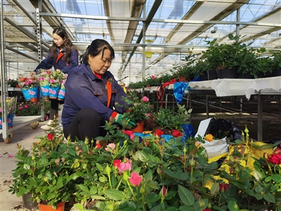 太原高质量发展规划,太原高质量转型