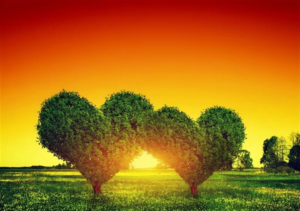 心形满天星壁纸,心形壁纸风景治愈