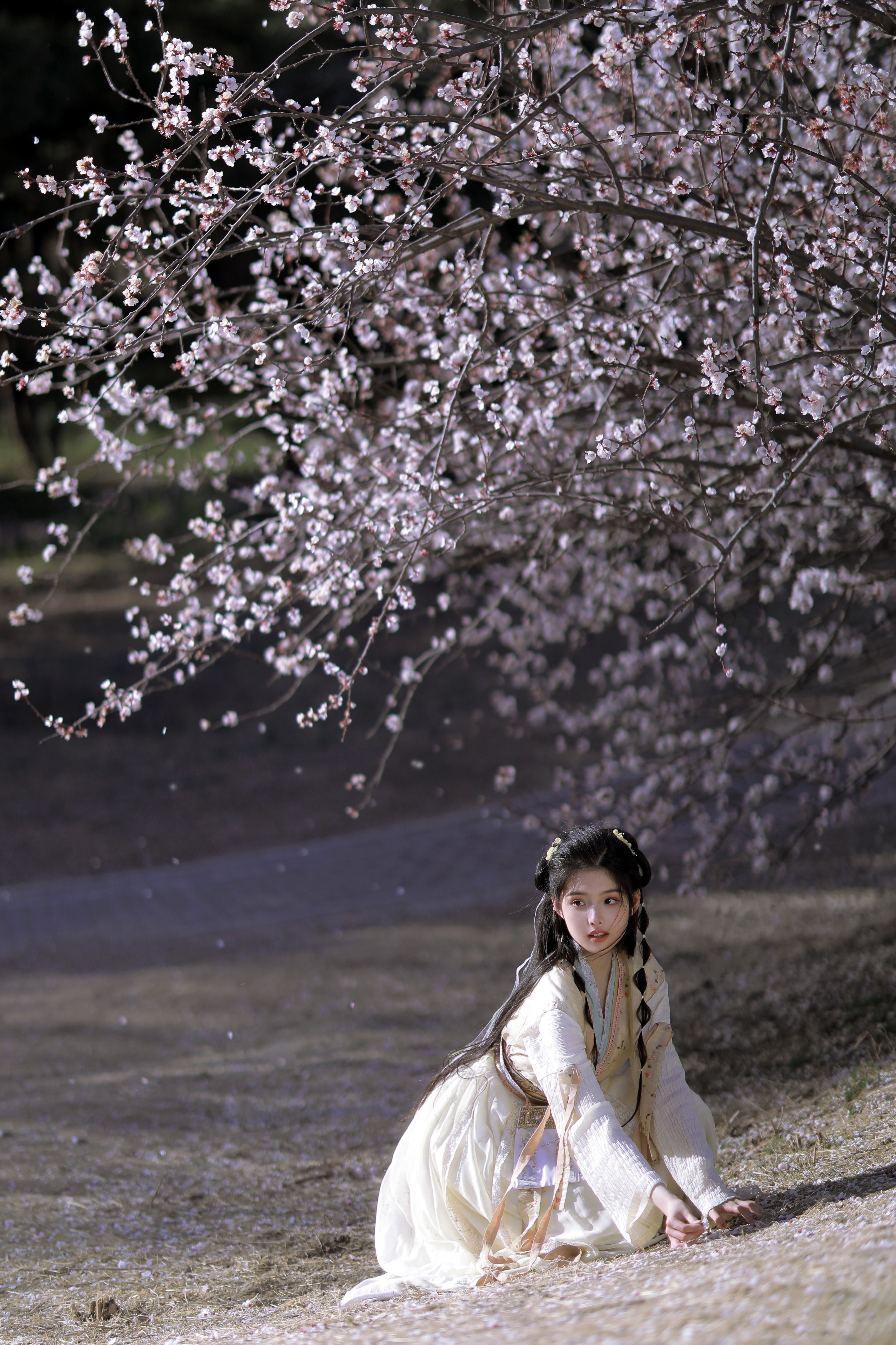 国风如画,国风汉服写真