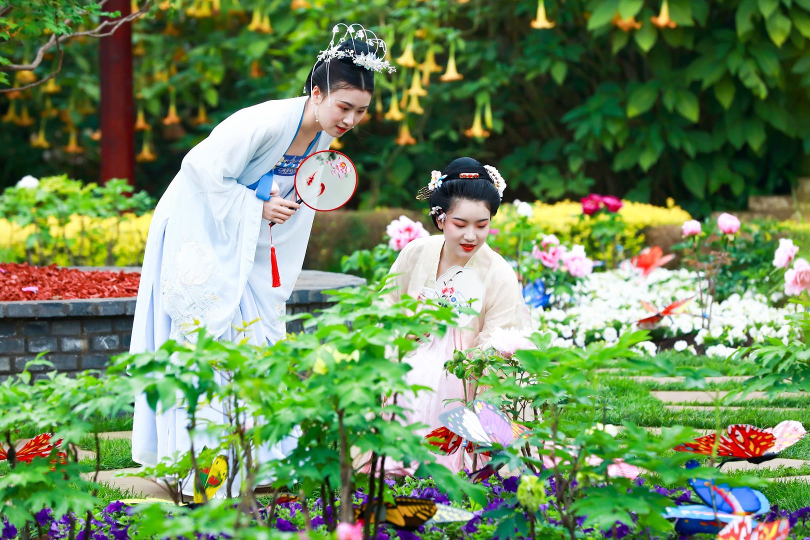 唯有牡丹真国色，花开时节动京城——牡丹，自是花中第一流