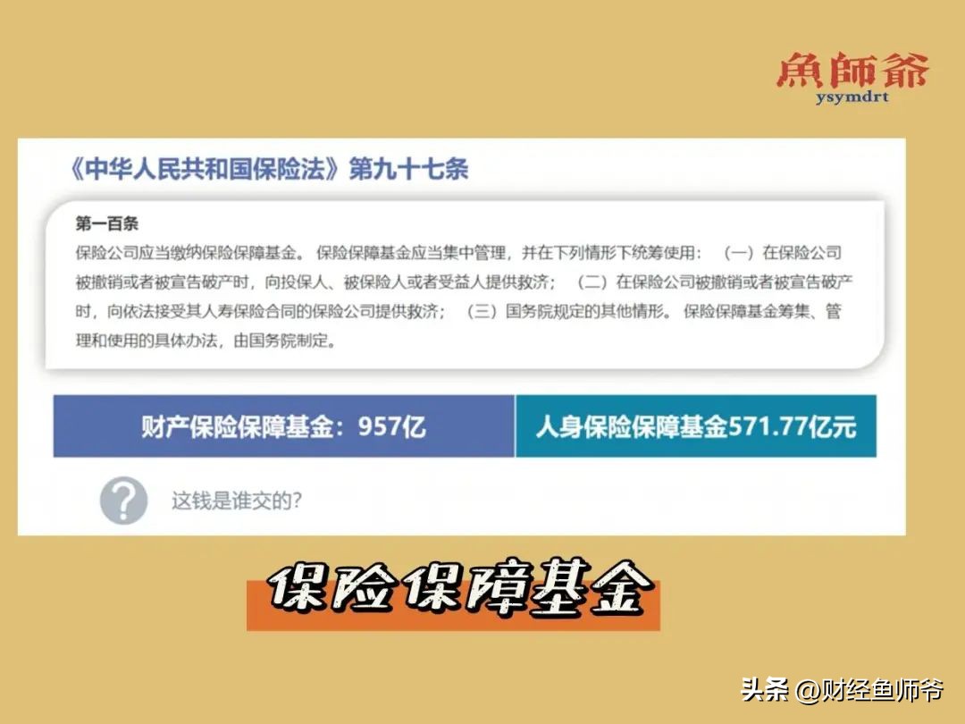保险公司故事分享,保险公司的成长经历和感悟