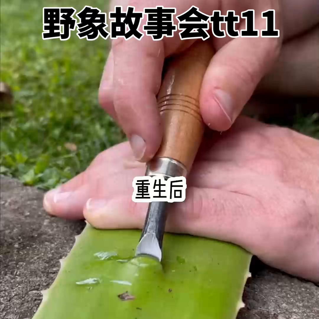 野象故事会,抖音怎么进入野象故事会