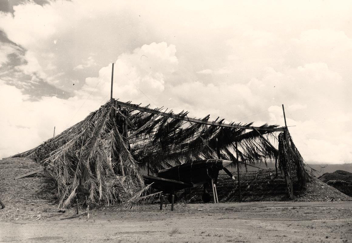 日本投降珍贵视频资料,日本投降珍贵影像