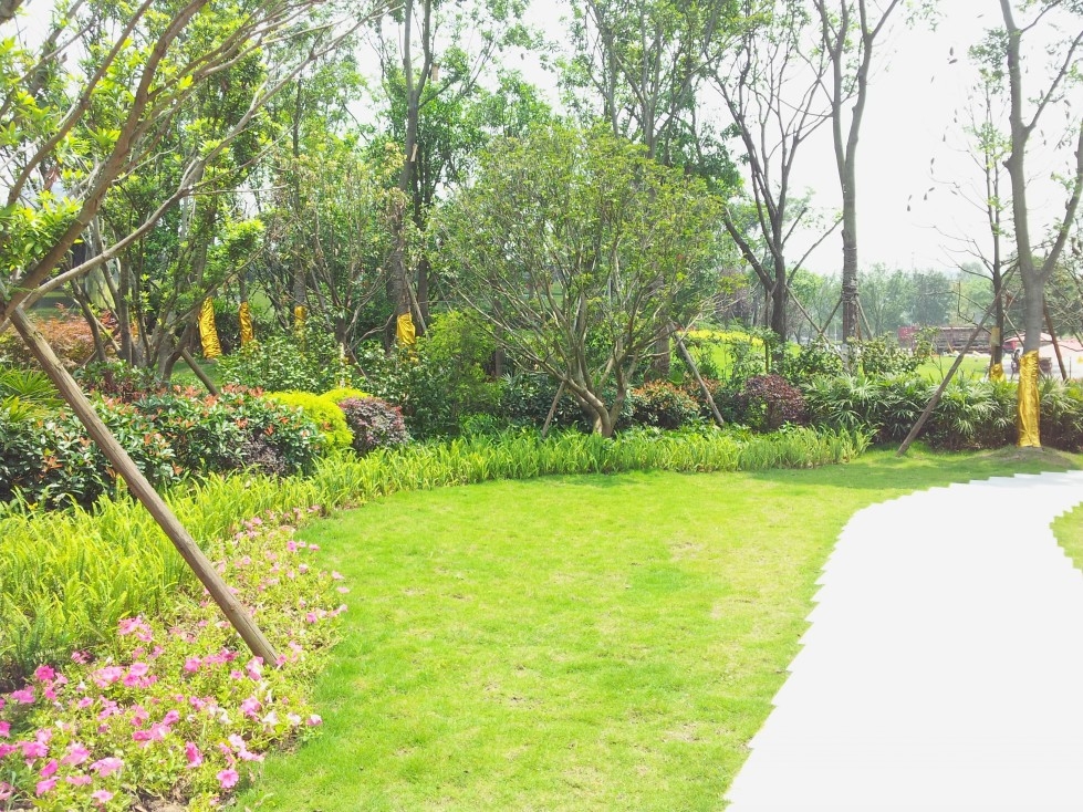 小男孩路边捡到一只小黄狗,男子捡到一只小黄狗自带笑脸