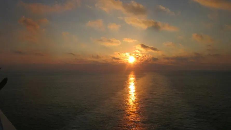 香港一对老年夫妇跳楼身亡,香港父母双双跳楼案