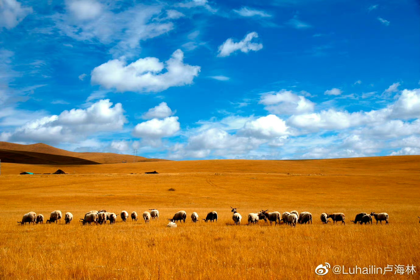 错过了十月的*藏西**，你就错过了这个星球最壮丽的秋色