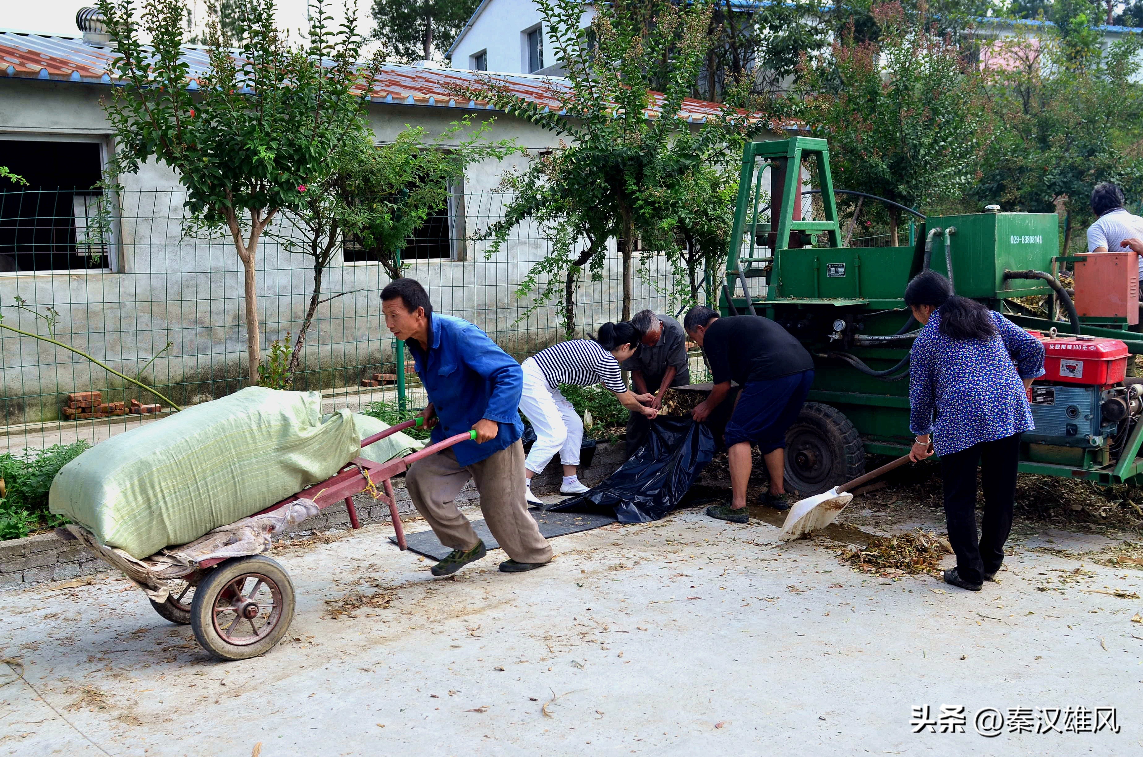女羊倌,女羊倌致富