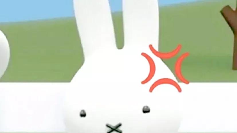 鼻头上的脂肪粒怎么挤都挤不完,脂肪粒挤还是不挤