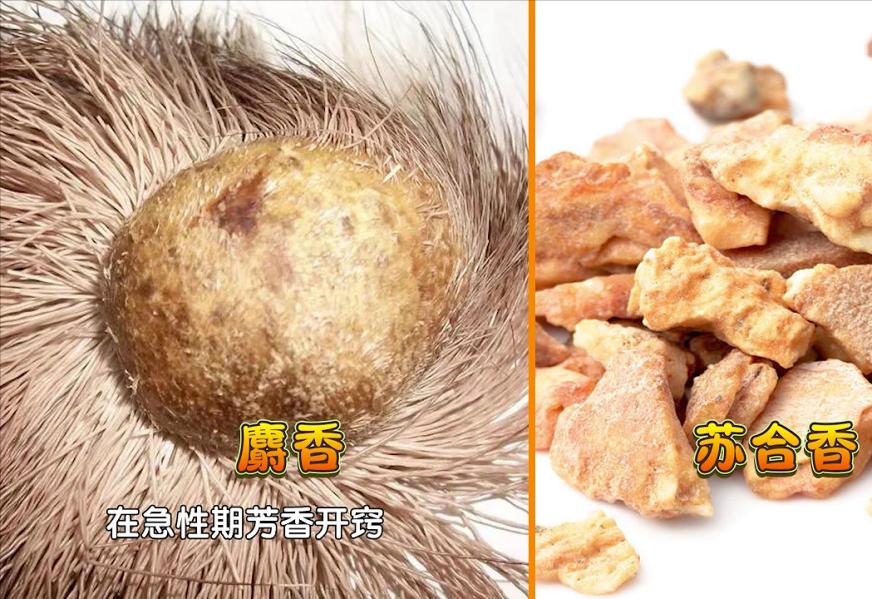 脑梗不用阿司匹林行不行,脑梗不用怕用它泡水服用