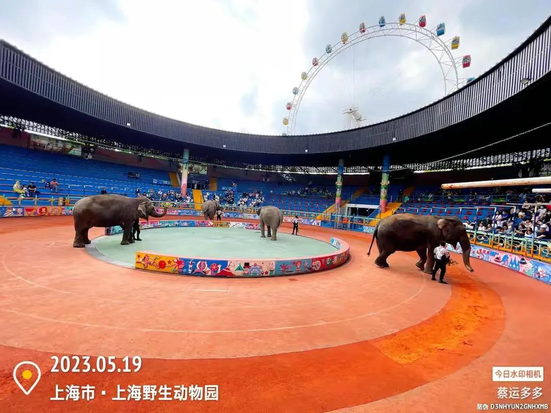 中国最大的野生动物园是哪个城市,中国最大野生动物园