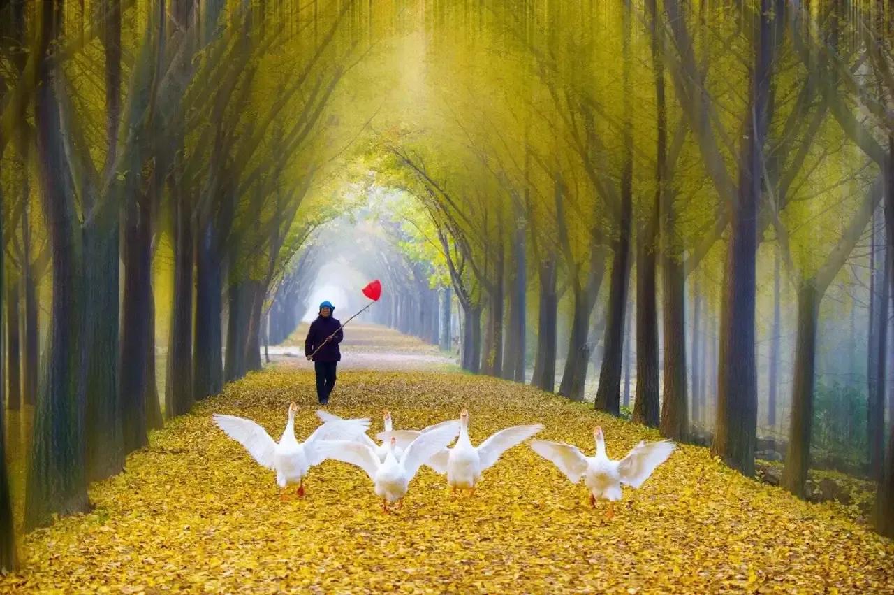 周末股市值得读吗,股市长线法宝下载