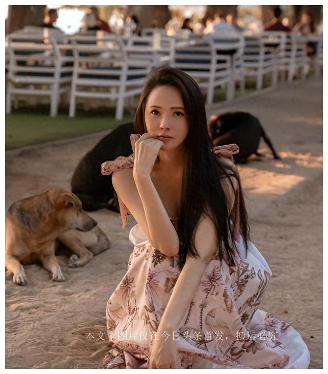 伊能静回怼网友,伊能静上综艺吐槽