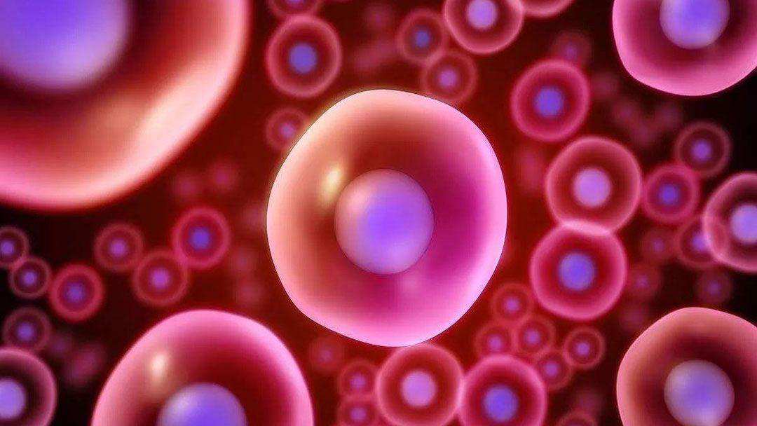 进入女性体内后，结合失败的精子都去哪里了？答案既心疼又好笑