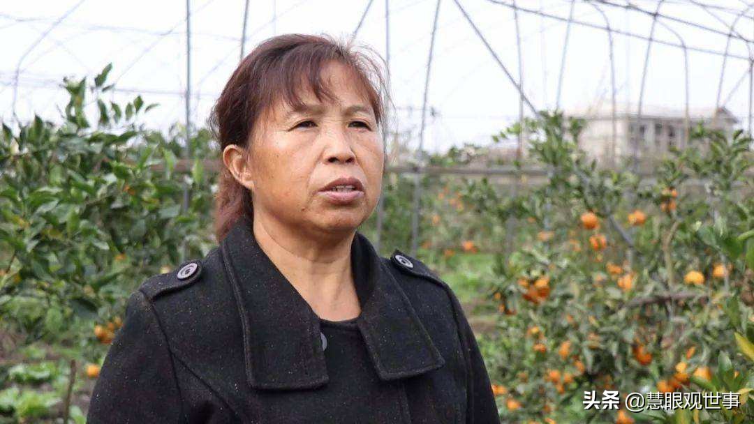 侯海洋基层风云全文,侯海洋基层风云完整版