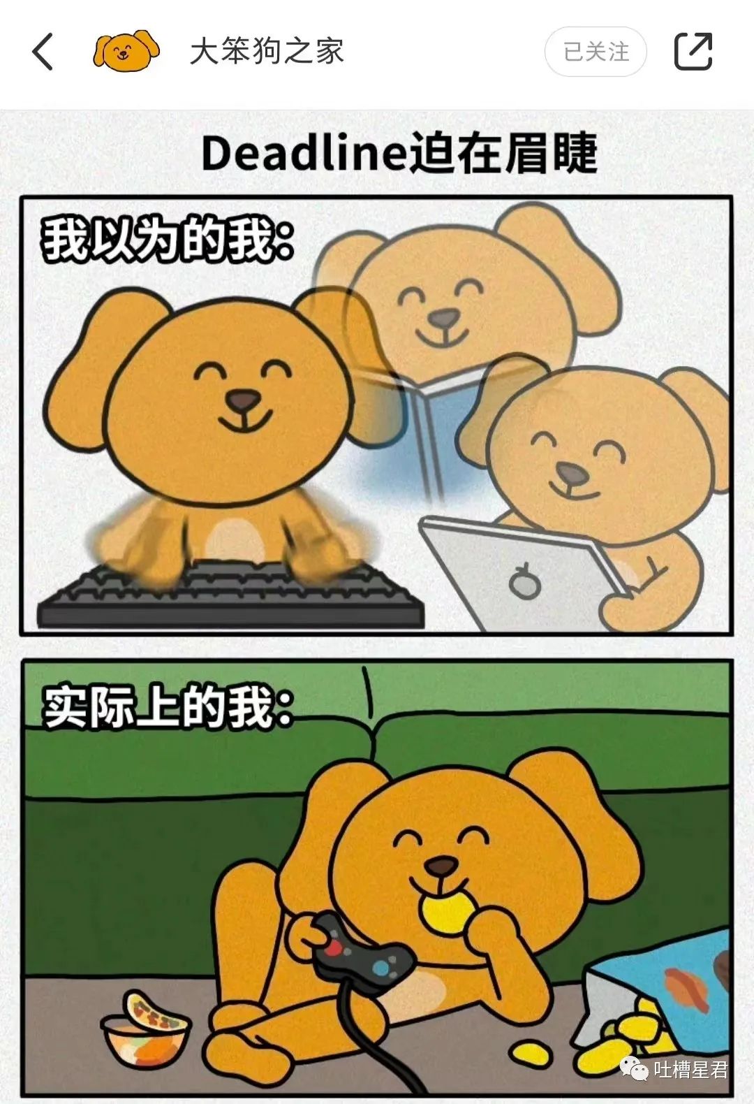 花了7400元买的gucci,花4000买gucci发夹