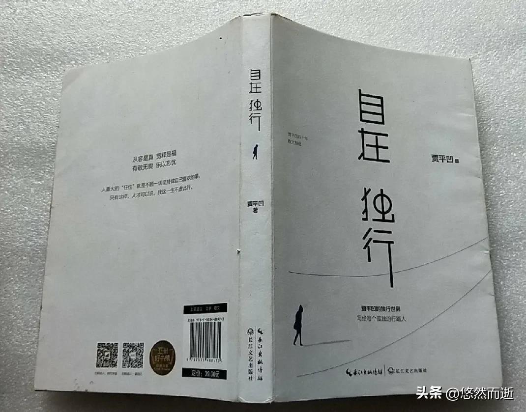 写给孤独的行路人的书,一本写给孤独的书